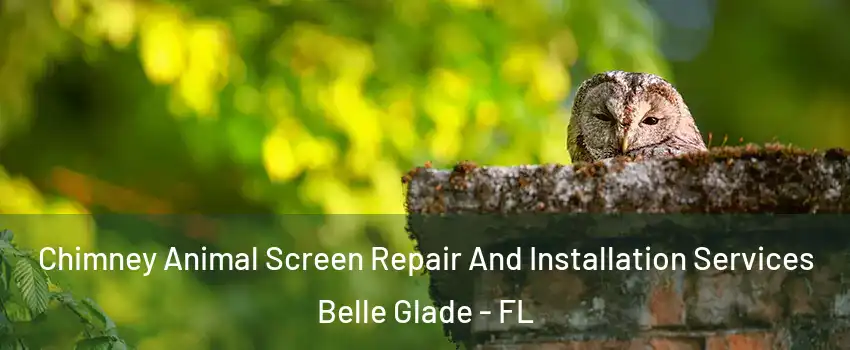  Chimney Animal Screen Repair And Installation Services Belle Glade - FL