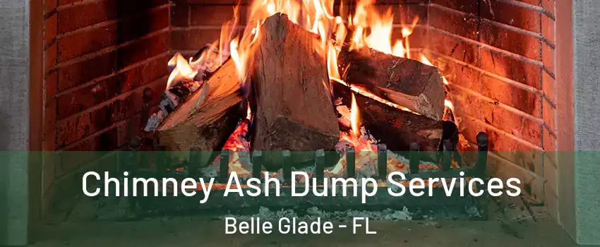  Chimney Ash Dump Services Belle Glade - FL