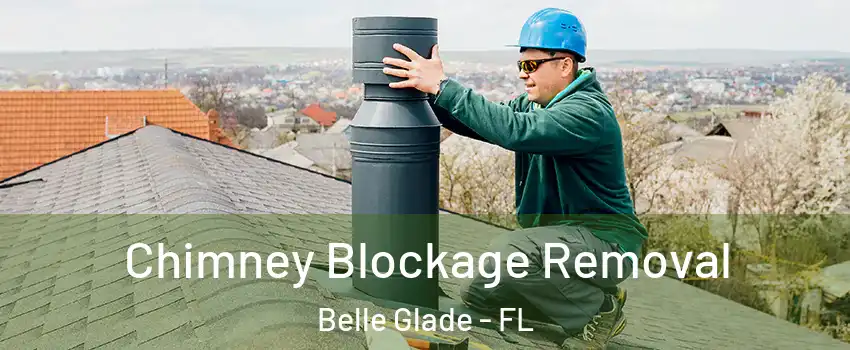 Chimney Blockage Removal Belle Glade - FL