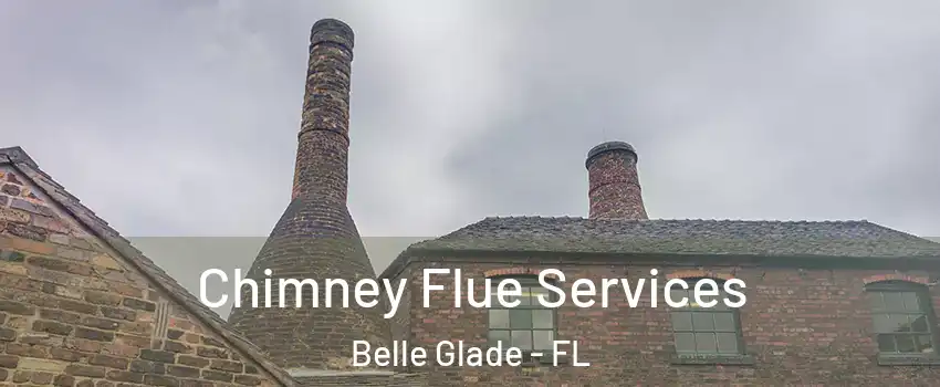  Chimney Flue Services Belle Glade - FL