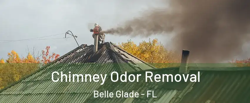 Chimney Odor Removal Belle Glade - FL
