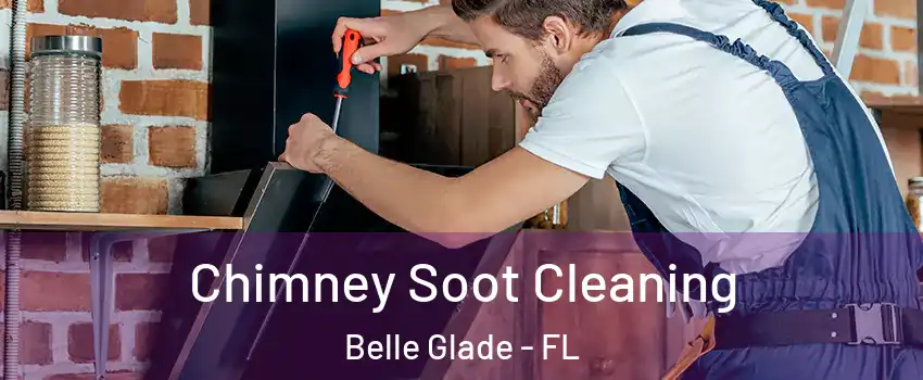  Chimney Soot Cleaning Belle Glade - FL