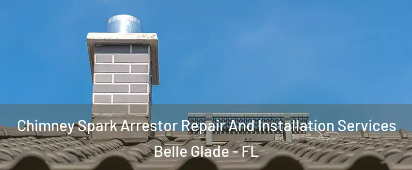  Chimney Spark Arrestor Repair And Installation Services Belle Glade - FL