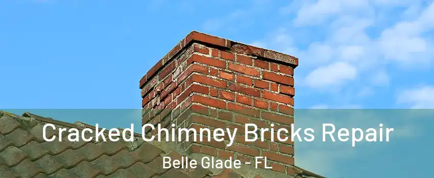  Cracked Chimney Bricks Repair Belle Glade - FL