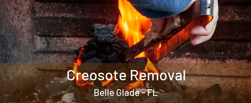  Creosote Removal Belle Glade - FL