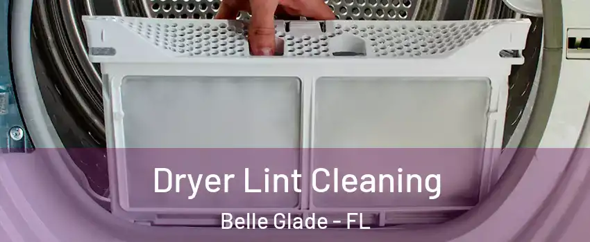  Dryer Lint Cleaning Belle Glade - FL