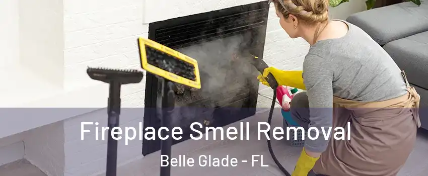 Fireplace Smell Removal Belle Glade - FL