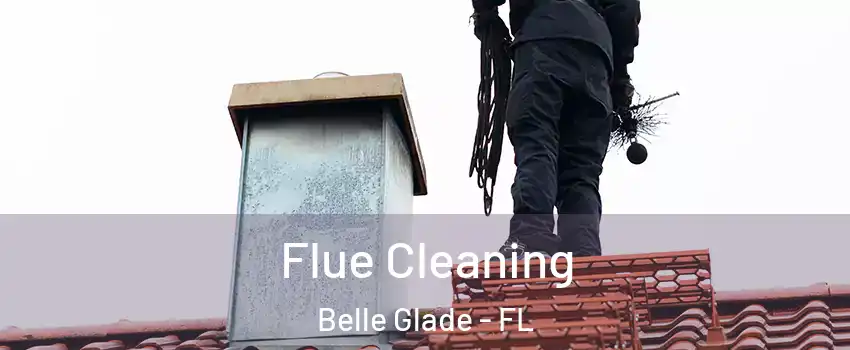  Flue Cleaning Belle Glade - FL