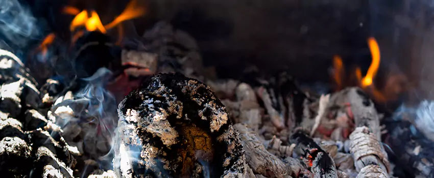 Creosote Removal Experts in Belle Glade, FL