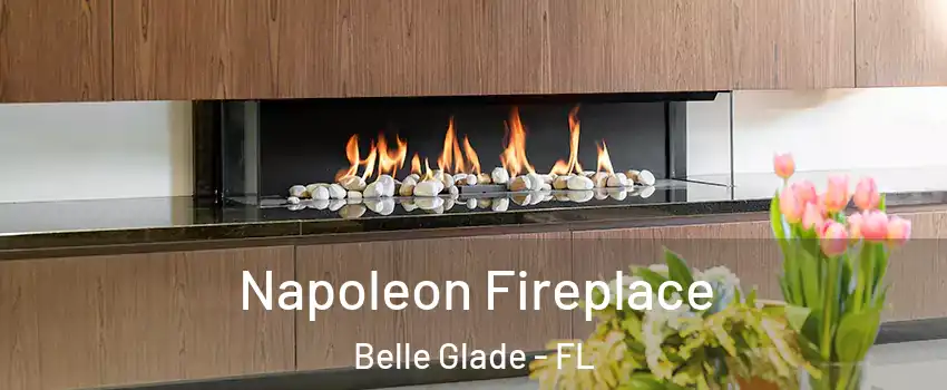  Napoleon Fireplace Belle Glade - FL